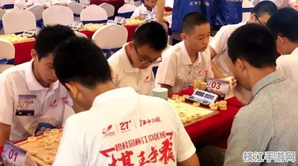 2025年8月15日白洋工业园枝江棋牌游戏大赛圆满落幕，千余玩家共赴智力竞技盛宴