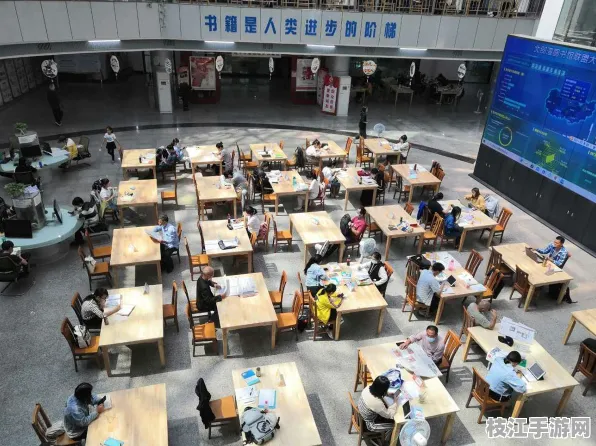 2025年8月枝江市游戏产业新动态，图书馆电子阅览室与命运2联动，市场推荐助力区域布局