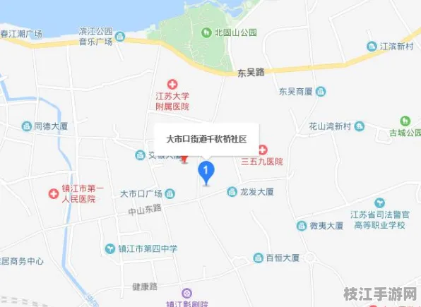 枝江市最新特讯，2025年8月马家店街道七口堰社区养老服务优化成效显著 签约项目达20个