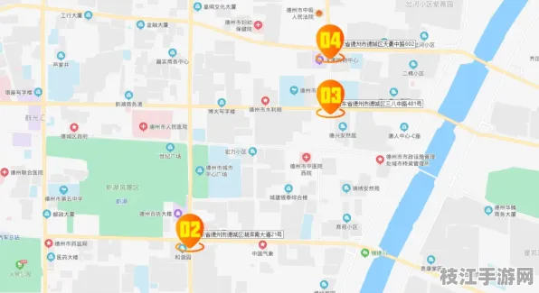 枝江市最新特讯，2025年8月马家店街道七口堰社区养老服务优化成效显著 签约项目达20个