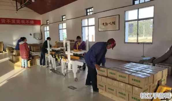 枝江市顾家店镇，2025年8月纺织服装产值增长显著，文旅融合助力游客超50万人次