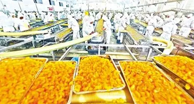 2025年8月枝江市董市镇食品加工产业实现跨越式发展 产值同比增长28%带动3000人就业