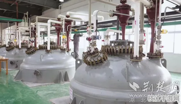 2025年8月枝江市董市镇食品加工产业实现跨越式发展 产值同比增长28%带动3000人就业