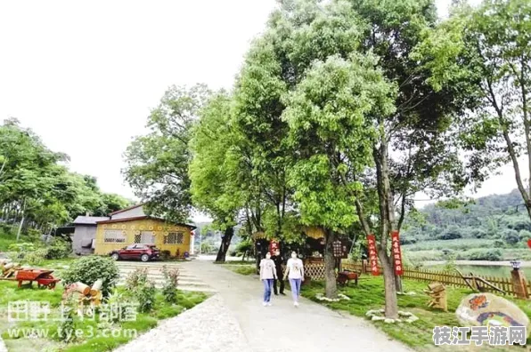 2025年8月枝江市安福寺镇秦家塝村环境整治成效显著 百亿投资打造生态示范样板