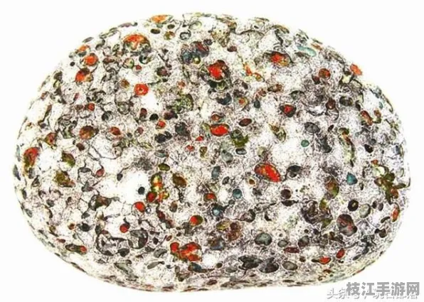 2025年8月枝江市安福寺镇工业经济推广新成效显著 消费者满意度达88分