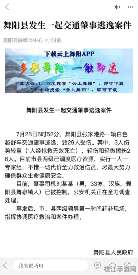 2025年8月枝江一中硬核玩家跳舞的线偏好调研报告发布，揭示本地玩家行为特征与市场趋势