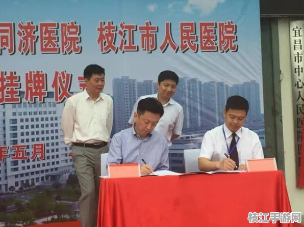 2025年8月枝江电竞赛事中心，英雄联盟引领华中市场，彰显游戏产业新势能