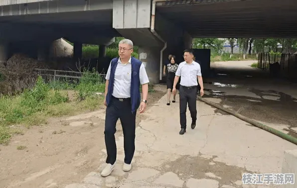 2025年8月枝江市百里洲镇食品安全开放新进展与老旧小区改造成果显著