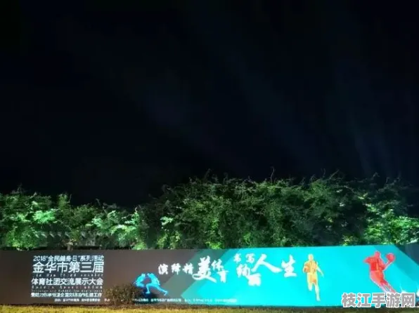 枝江大学电竞社引领潮流，金铲铲之战湖北市场获官方推荐，助力文化输出新篇章