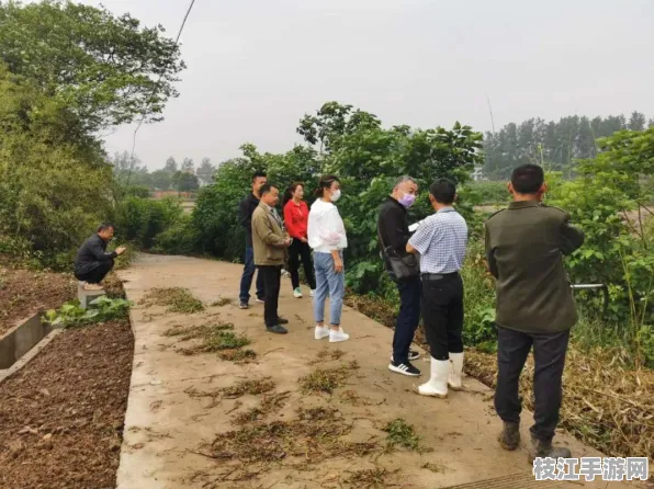 枝江市安福寺镇法治建设与生态建设双突破，2025年8月新增绿地200亩，法治体系全面升级