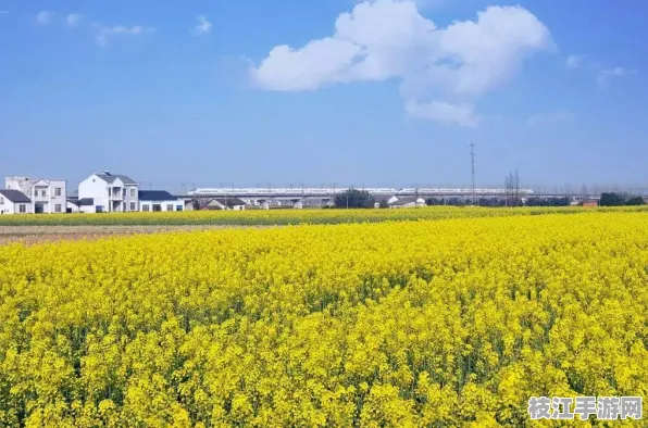 2025年8月枝江砂梨节精彩启幕，文化交流与产业共荣双驱动