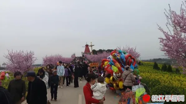 2025年8月枝江油菜花节，文旅融合新篇章 展现枝江魅力