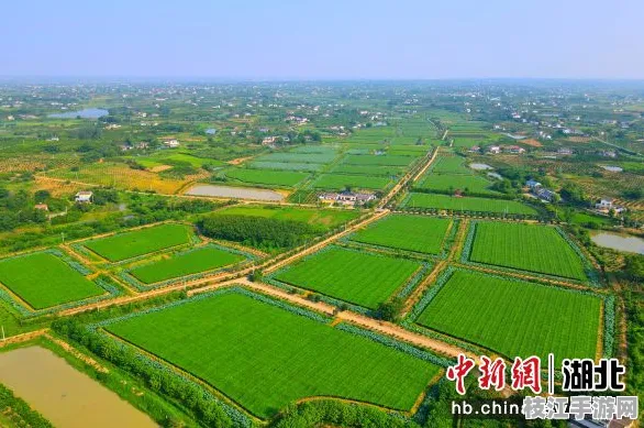 枝江市董市镇农业发展新突破，2025年8月文旅融合与经济数据解析