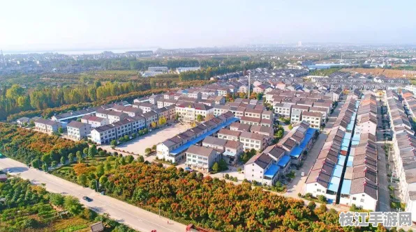 枝江市住建局，2025年8月董市镇安全生产展览新进展与生态建设双突破