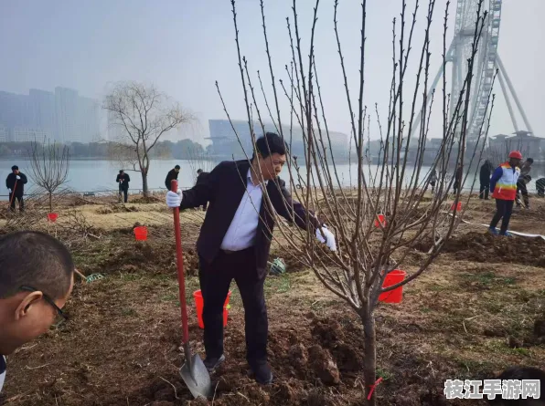 枝江市2025年12月滨江公园植树活动启动筹备 环保理念深入人心