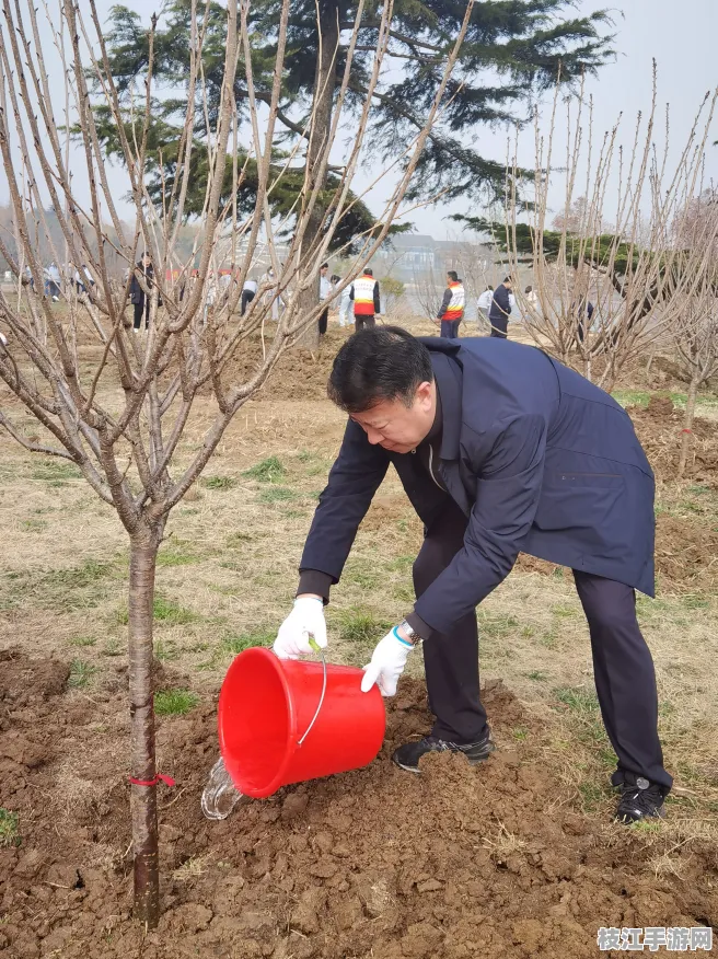 枝江市2025年12月滨江公园植树活动启动筹备 环保理念深入人心