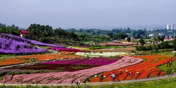 枝江市生态治理再获突破，安福寺镇垃圾分类准确率突破90%生态廊道通车助力绿色发展