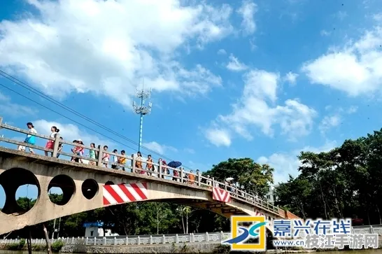2025年枝江年猪节定档八月，以民俗为媒 搭建跨文化交流桥梁