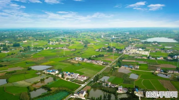 2025年8月枝江市董市镇住房保障改造新进展，新增绿地200亩，民生工程再升级