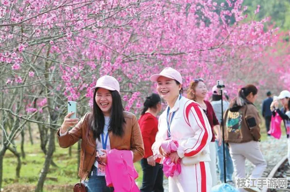 2025年8月枝江桃花节盛大开幕 群众热情参与共襄文旅盛宴