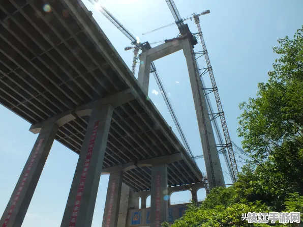 2025年8月枝江市白洋社区治理成效显著 高新技术企业突破100家