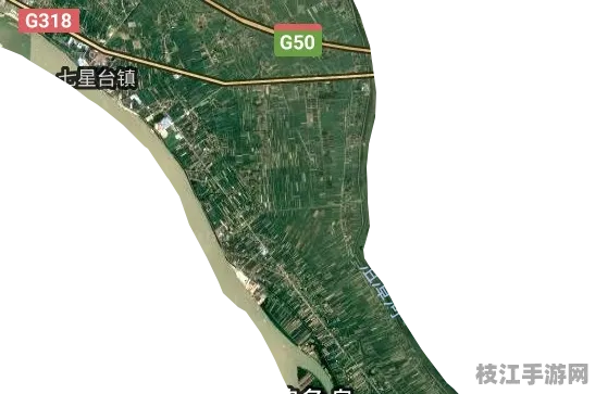 2025年8月枝江市七星台镇启动食品安全新计划 累计投资超50亿元