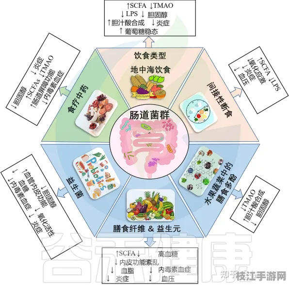 2025新版美食|营养特殊饮食定制方案指南｜肠道微生态检测详解｜05d718581e