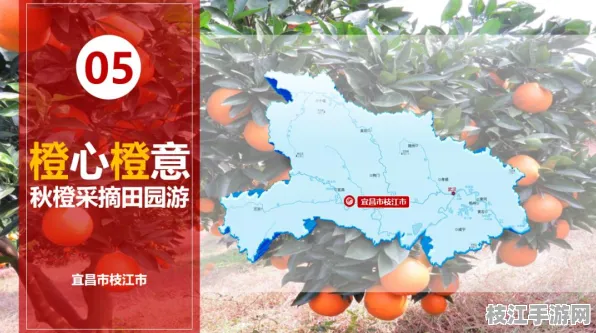 2025年枝江蜜桔节将于10月下旬盛大开幕，文化交融与产业发展的双重盛宴