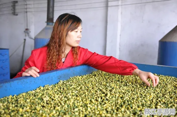 枝江市顾家店镇，2025年8月教育事业新计划落成，老旧小区改造超额完成