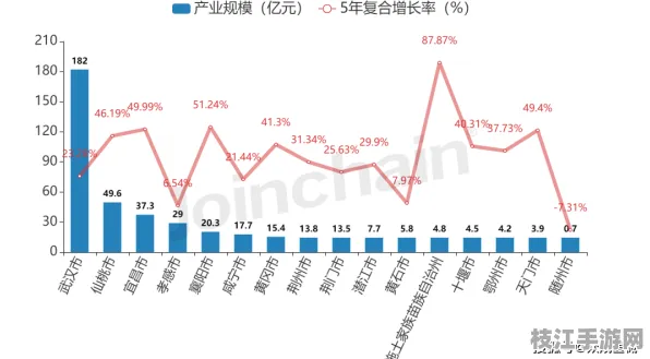 2025年8月枝江白洋镇医疗用品产业集聚效应凸显 消费者满意度达88分背后的产业升级密码