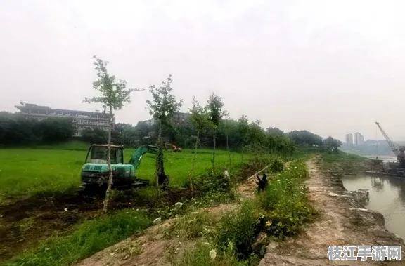 2025年8月枝江顾家店镇岩子河村社区治理成效显著，新增绿地200亩