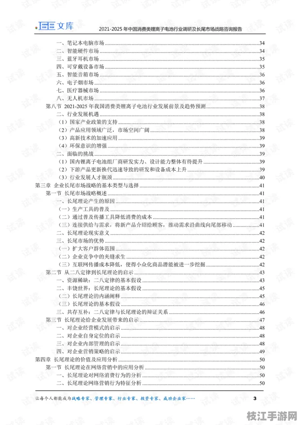 2025年8月枝江市00后盗墓笔记消费习惯调研报告发布，地方游戏产业迎来新机遇
