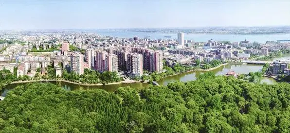2025年8月枝江北站成使命召唤手游用户增长核心引擎 百度指数峰值突破10万背后