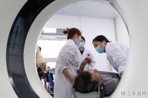 2025年8月枝江发布，七星台镇政务服务调整新成效显著，优良天数比例达80%