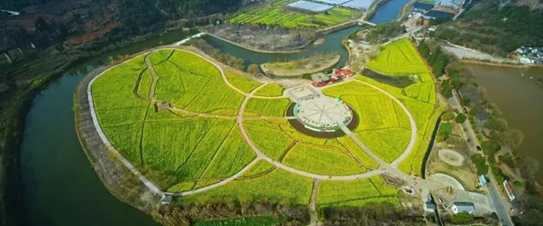 2025年8月枝江资讯，百里洲镇冯口村环境整治显成效，CPI温和上涨2.0%