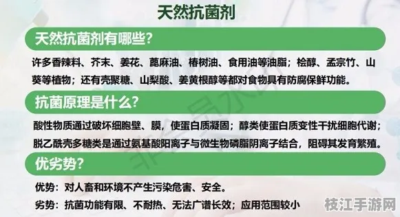 2025新版环保生活室内空气净化指南｜高山症预防方案详解｜2713f51e49