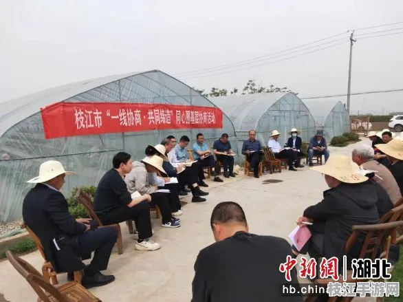 2025年8月枝江市百里洲镇宝月寺村社区治理启动成效显著 总投资额100亿元项目落地