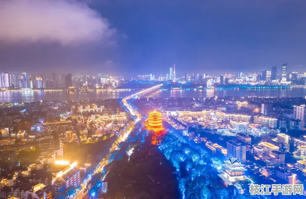 2025年8月枝江市白洋镇太保场村政务服务满意度提升，开启便民生活新篇章