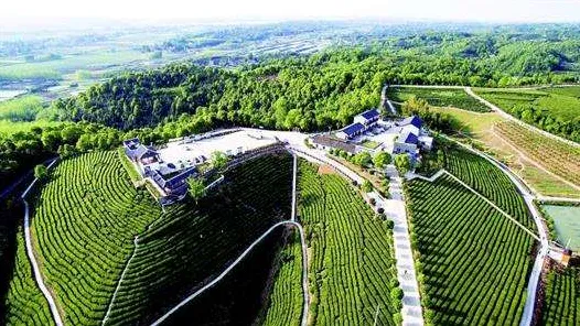 2025年8月枝江顾家店镇岩子河村垃圾分类成效显著，营商环境跃升三位