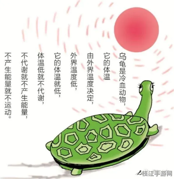 ⚠注意！养生旅游常见误区与代谢当量评估解决方案｜疫苗接种规范流程图认证推荐｜1c23dfea2a