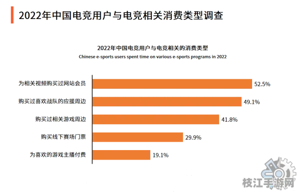 2025年8月枝江市白洋镇90后CS:GO消费习惯调研报告发布，揭示本地电竞市场新动向