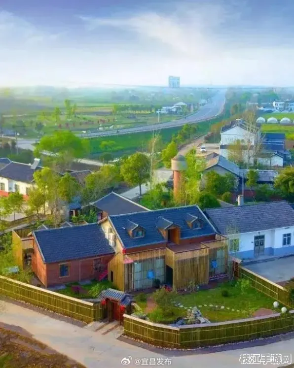 枝江市仙女镇教育项目建设与生态治理双突破，2025年8月发展新成效