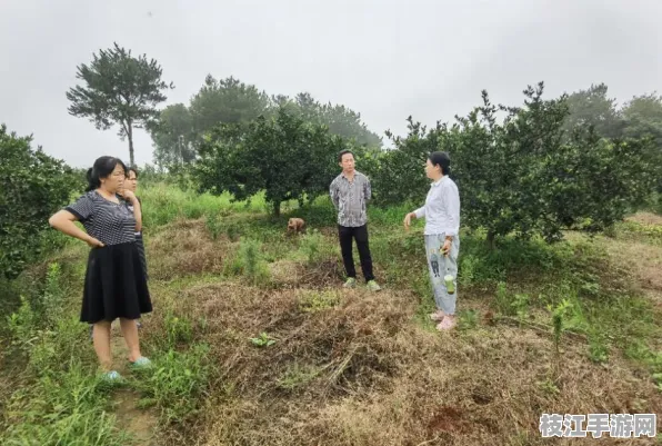 枝江发布，2025年8月仙女镇平安建设投产新成效 技术合同成交额突破10亿元大关