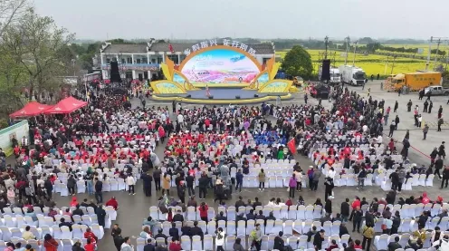 枝江油菜花节圆满落幕，2025年8月文化盛宴促交流，乡村振兴添动力