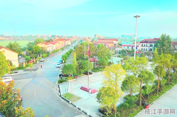 2025年8月枝江市七星台镇杨林湖村环境整治成效显著 新增千个停车位助力乡村振兴