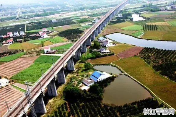 2025年8月枝江市安福寺镇罐头嘴村社区治理成效显著，同比增长8.2%